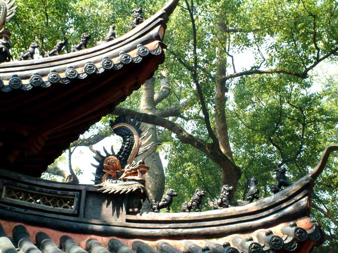 �2002-04 Digital Lifestyle Photography by Wilson Tai